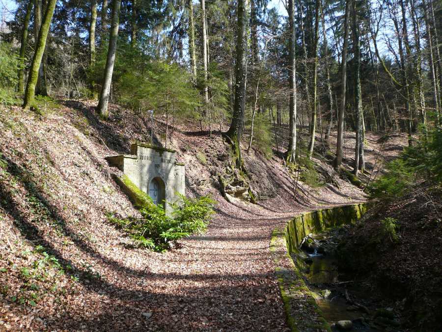 Vergrösserte Ansicht: Foto des Eingangs zur Quelle im Wald