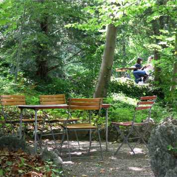 Vergrösserte Ansicht: Ein lauschiges Ruheplätzchen im Wald