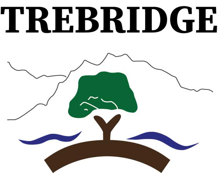 Enlarged view: Trebridge logo